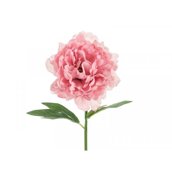 Pionblomma - 35 cm - Rosa