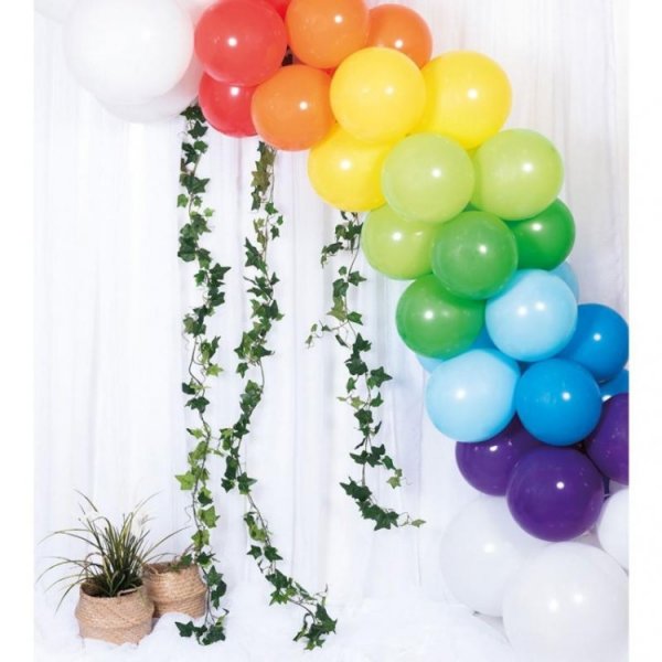 Ballongb�ge Regnb�ge