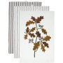 Gaby kkshandduk 3-pack 3 x 47 x 70 cm - Mrk nougat