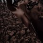 Callebaut Svart Kakaopulver Botanical Noir Intense 1kg
