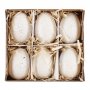 Pskgg - 6-pack - Naturvit