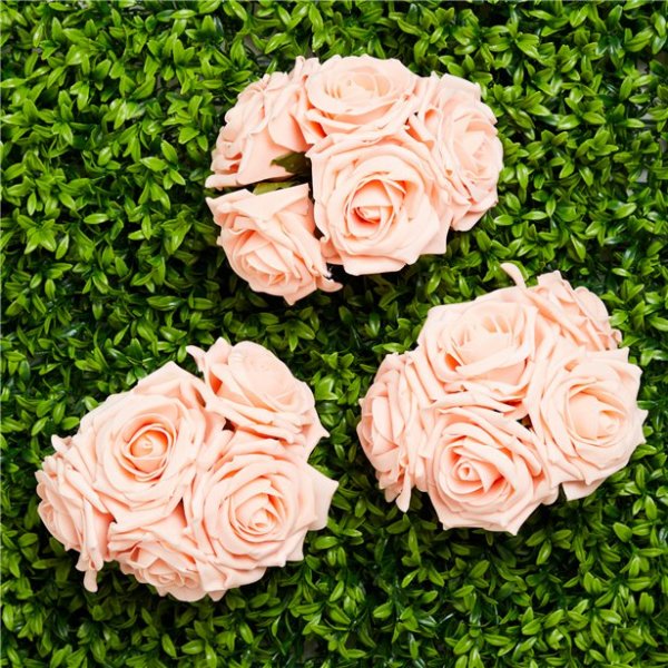 Rosor - Stora - Aprikos - 5-pack