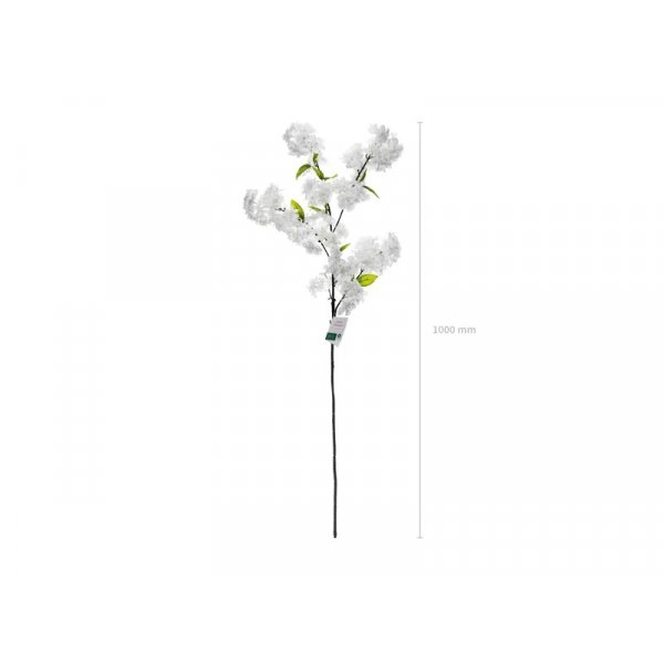 Krsbrsblomma - 97 cm