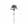 Hortenisa - 69 cm - Premium - Mrkbl