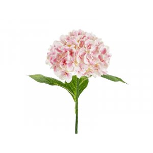 Hortenisa - 69 cm - Premium - Ljusrosa Hortenisa - 69 cm - Premium - Ljusrosa
