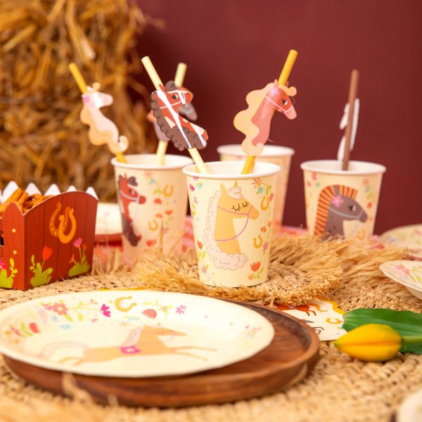 Sugrr - Hstparty - 6 st