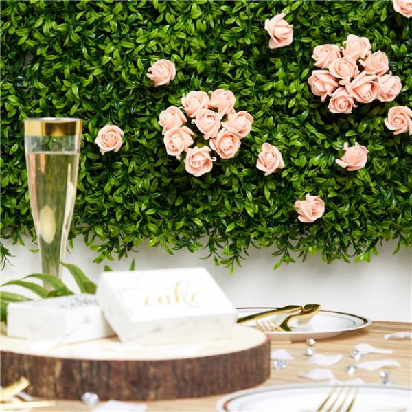 Rosor - Små - Aprikos - 8-pack Rosor - Små - Aprikos - 8-pack