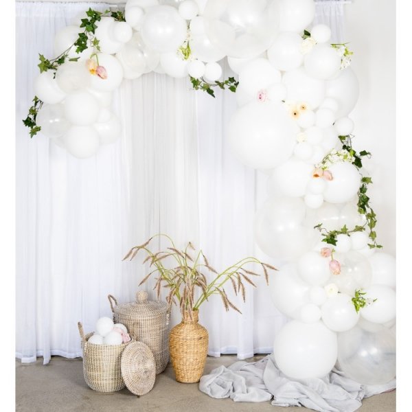 Ballongb�ge Vit & Transparent