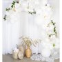 Ballongb�ge Vit & Transparent