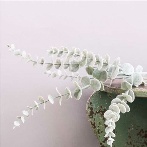 Eucalyptuskvist - 74 cm - Grn