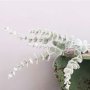 Eucalyptuskvist - 74 cm - Grn