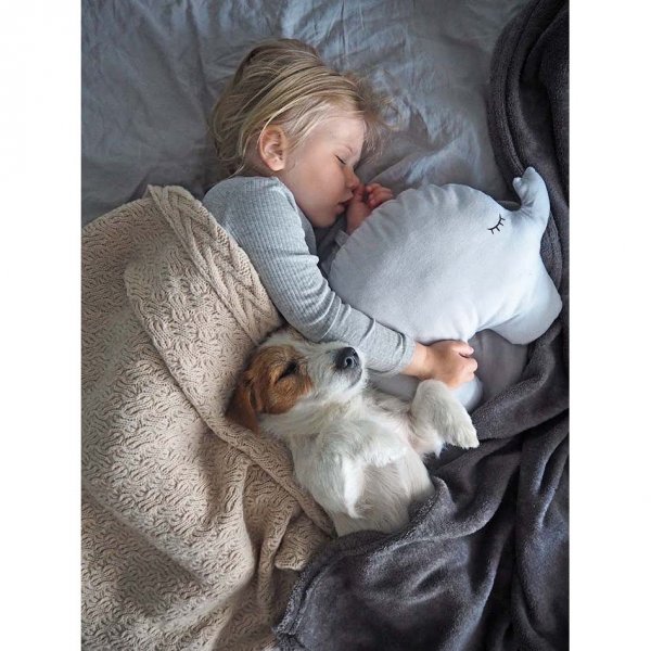 Kudde - Elefant - Gr�