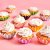 Muffinsformar - Babyrosa - Bloom - 48-pack