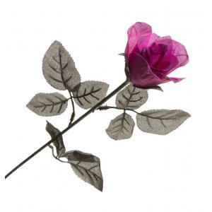 Dekoration - Halloween - Rosa/lila Ros - 65 cm COPY Dekoration - Halloween - Rosa/lila Ros - 65 cm COPY