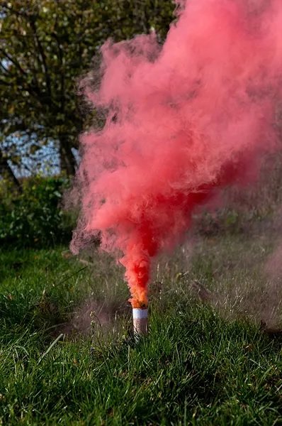 Puderkanon - Gender Reveal - Rosa Puderkanon - Gender Reveal - Rosa