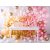 Pastellballonger - Premium 27 cm - Vita - 50-pack