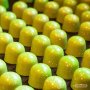 Pralinform - CW2116 Kupol - Chocolate World