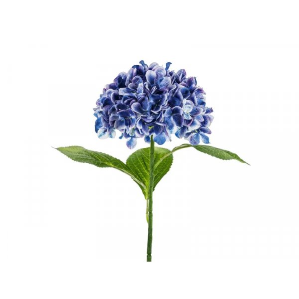 Hortenisa - 69 cm - Premium - Mrkbl