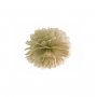 Pappersboll, Pom Pom Guld
