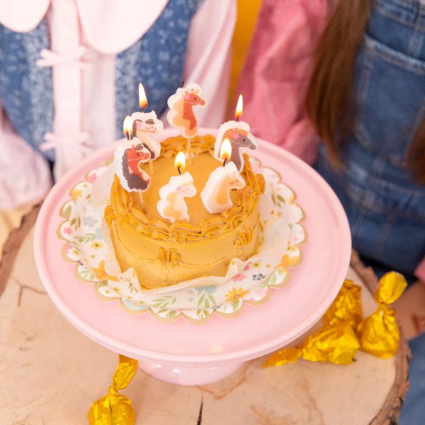 Trtljus - Hstpary- 6 st