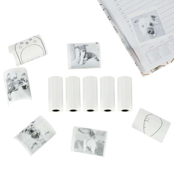 Sj�lvh�ftande termopappersrullar 5,7 cm x 4,5 m 5-pack - Mini skrivare