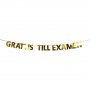 Girlang \\\"Grattis till examen\\\", 3,6m