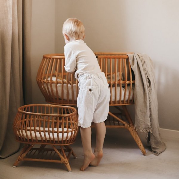 Docks�ng - Rotting - Pellianni