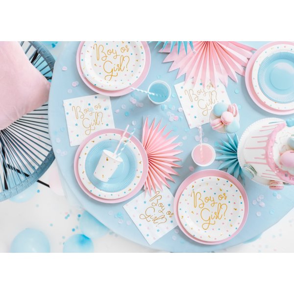 Papptallrikar - Boy or girl? - 6-pack Papptallrikar - Boy or girl? - 6-pack