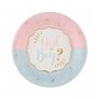 Babyshower, Gender Reveal Papperstallrikar