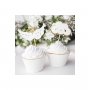Cupcake Picks Moln & �nglavingar