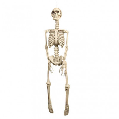 Skelett - 92 cm