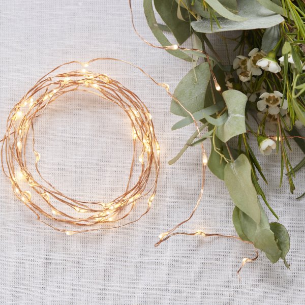 Ljusslinga - Rosguld - Botanics