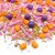 Strsselmix - Happy Sprinkles - Giving Thanks - 90 g