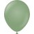 Ballonger enfrgade - Premium 45 cm - Eucalyptus - 5-pack