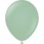 Ballonger enfrgade - Premium 45 cm - Winter Green - 5-pack