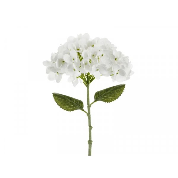 Hortenisa - 35 cm - Vit