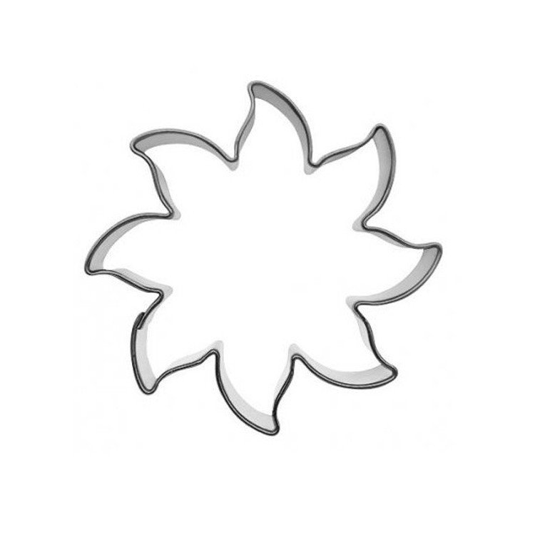 Kakform Sjöstjärna – Fyndhörnan