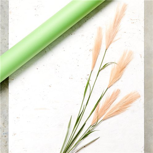 Pampasgrs - 1,45 m - Sand