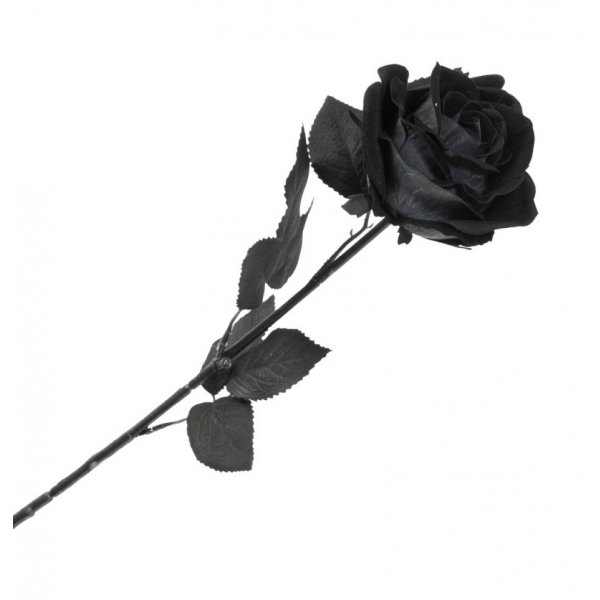 Dekoration - Halloween - Svart Ros - 65 cm