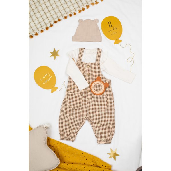 Ballongformade kort fr bebis-milstolpar