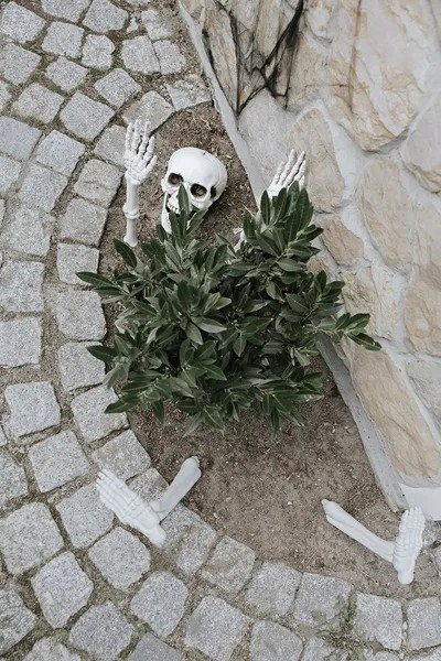 Skelettdelar - Halloweendekoration