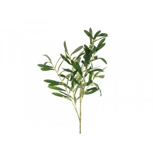 Olivkvist - 91 cm Olivkvist - 91 cm