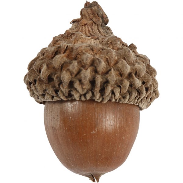 Ekollon - 12-pack Ekollon - 12-pack