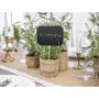 Griffelskyltar p� pinne 4-pack