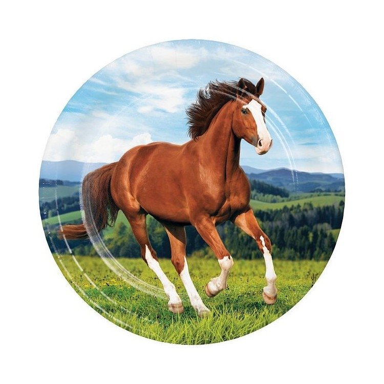 Papperstallrikar Hästkalas – Fyndhörnan