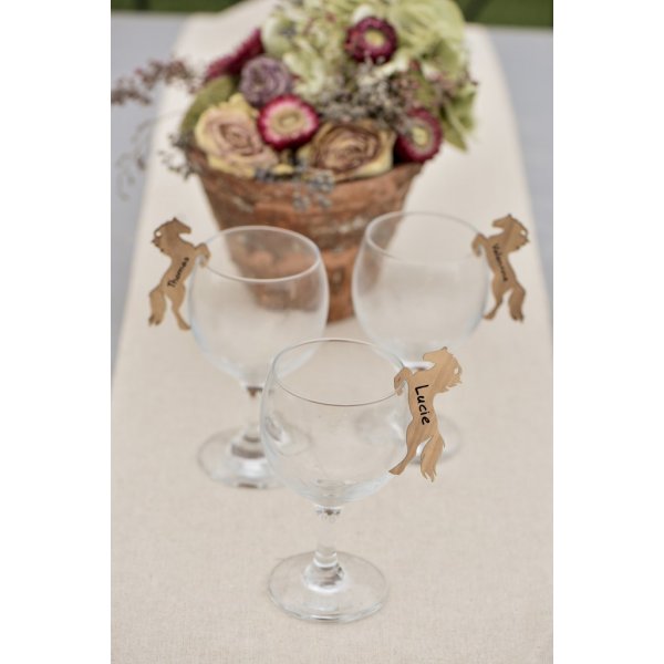 Tags - Namnskylt - Hstkalas - 6-pack