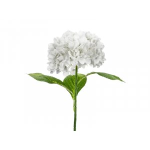 Hortenisa - 69 cm - Premium - Vit Hortenisa - 69 cm - Premium - Vit