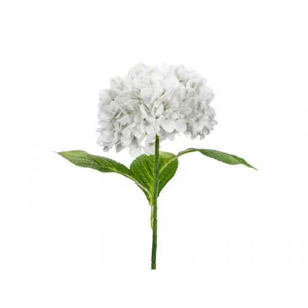 Hortenisa - 69 cm - Premium - Vit